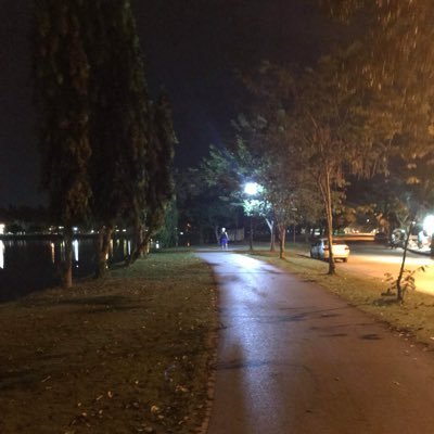 deksammanman's profile picture. 