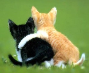 drob87124's profile picture. I am a happily married wife of 31 yrs. I help my husband oversee the bookkeepers postion. I like to quilt, fly fish, and watch the Dallas Cowboys.