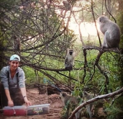 Post doc- Social learning and cultural transmission. Primates. Vervet monkeys. Field work !
https://t.co/prp4lctVXJ