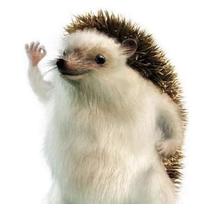 Holloween143's profile picture. 