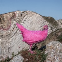 Nonhuman Nonsense (@non_non_sense) 's Twitter Profile