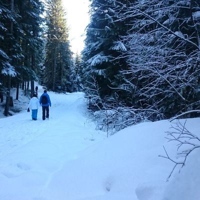 Pit_Bike_Racer's profile picture. 