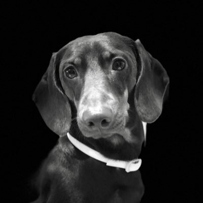 agusti1955's profile picture. 