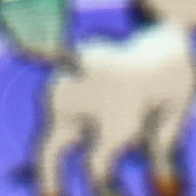 ようかんさんのプロフィール画像