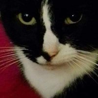 Nancy (@someone_1958) 's Twitter Profile