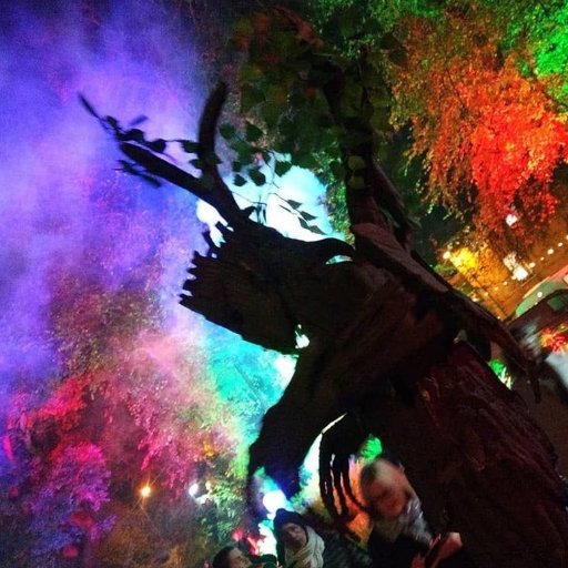 catharticlogan's profile picture. Instagram: @catharticlogan