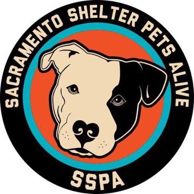 SSPA (formerly PB SOC) is a nonprofit that aims to improve the welfare of & serve as a safety net for shelter pets.