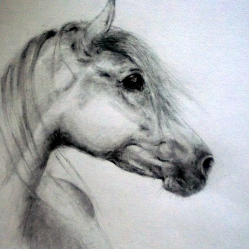 PenninesArt's profile picture. Love, living in the beautiful Eden Valley, nestled in the foothills of the Pennines #Cumbria #Graphite #Pencil