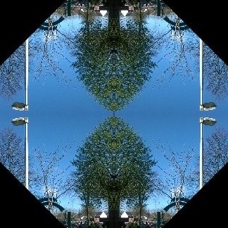 sootyholmes's profile picture. One question..ten thousand answers.