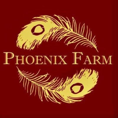 **Coming Soon** A Family getaway! B&Β with 4 cottage rentals, swimming pool, event pavilion, small farm and market #phoenixfarmcatskills