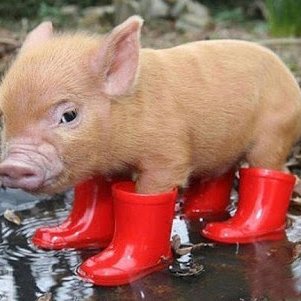 Drar1c's profile picture. 27yo 🇫🇷 / Prends une chaise installe toi