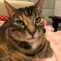 Carmen (@carmen80320076) 's Twitter Profile