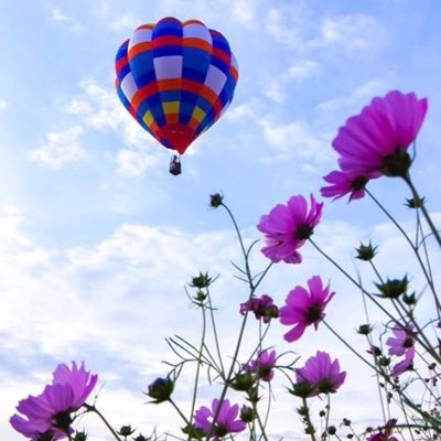 奈良女子大学気球部🎈関西拠点にハイエースを走らせ、飛んで、食べて、観光して...日本全国、大満喫！ 質問箱→https://t.co/MBPrIjzfQv Instagram→https://t.co/TxvIJM8EbF