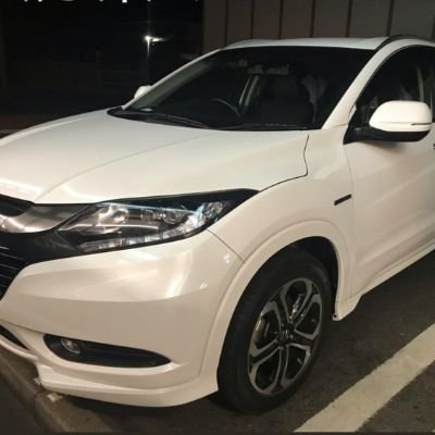 矢内芽生