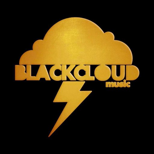 Independent Hip Hop Label. Contact: booking@blackcloudmusic.com