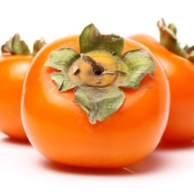 momokuri310's profile picture. 焼き物、陶磁器、歴史