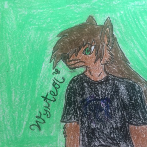 Wynteolさんのプロフィール画像