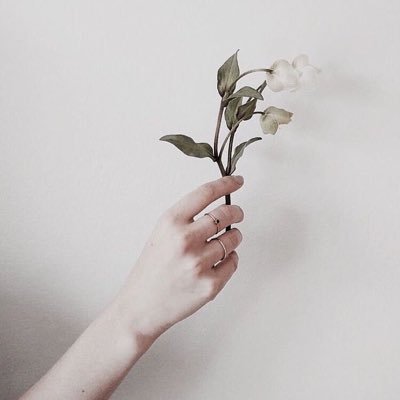 a___9___17's profile picture. リバウンド克服中…目指すは43kg。絶対あの頃に戻る。今年は肌見せコーデしたい。目指すは薄いお腹、細い手足、ほどよい筋肉。