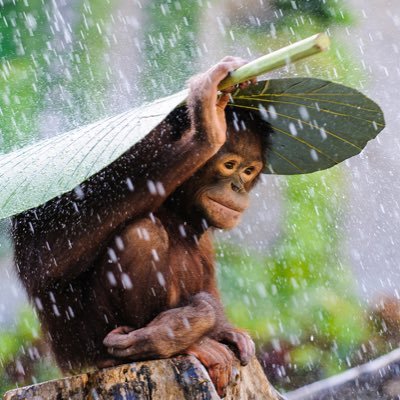 belegend1111's profile picture. 