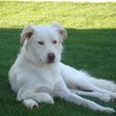 Billy Willy - @billy_willy - Twitter