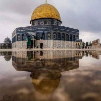 حمودة ابو القمبز (@aghxhc) 's Twitter Profile