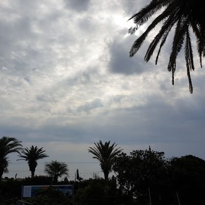 rumecomo's profile picture. ※한페미들 극혐함※ 고양이 키움 일하기 싫어함 욕트섹트있음 골든차일드 배승민보고 천국가세요 가버렷