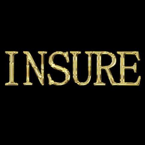 INSURANCESIN's profile picture. Global created internet insurance service