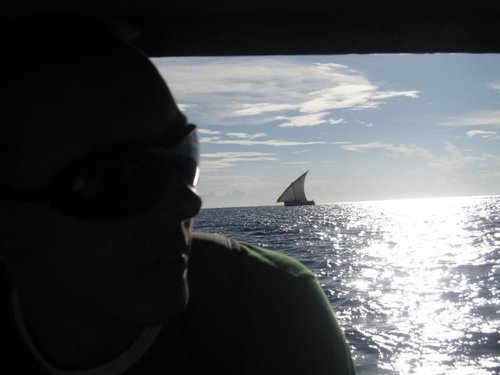 DavidTRool's profile picture. 