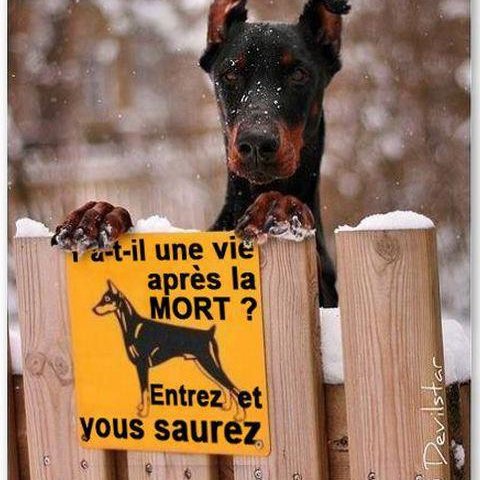 Agriculteur, Président coop03, Elu chambre, #FrAgTw
#jesuisvacciné,100% MODERNAsé