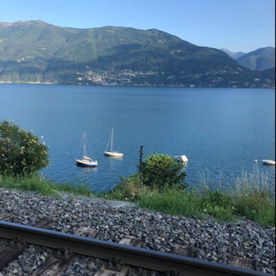 BorlizziMassimo's profile picture. 