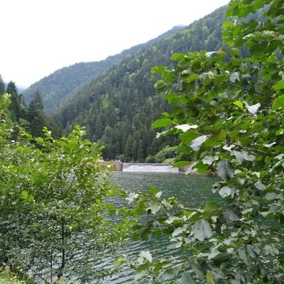 Sima276761175's profile picture. 