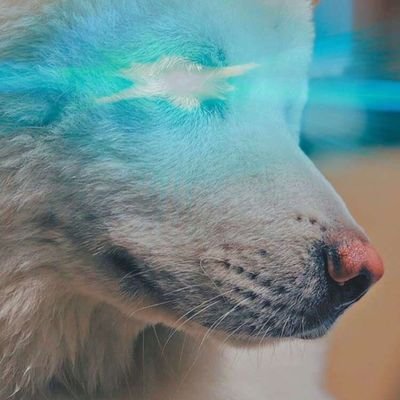 Latual0071's profile picture. HONEST BABY ONLY 🎖