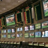 CONTRARIAN_BETS (@betscontrarian) 's Twitter Profile