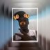 Vera Lucia (@erickpkm05) Twitter profile photo