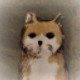 taklさんのプロフィール画像