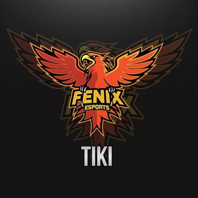 Co-Manager of Fenix eSports. Content creator on both YouTube and Twitch