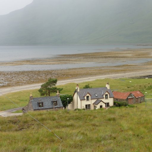 thefreebeliever's profile picture. Always believe there is good in the world.  Still hoping one day there will be a cure for type 1 diabetes.