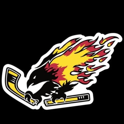 The official Twitter Page for the Chaparral Firebirds Hockey Team.