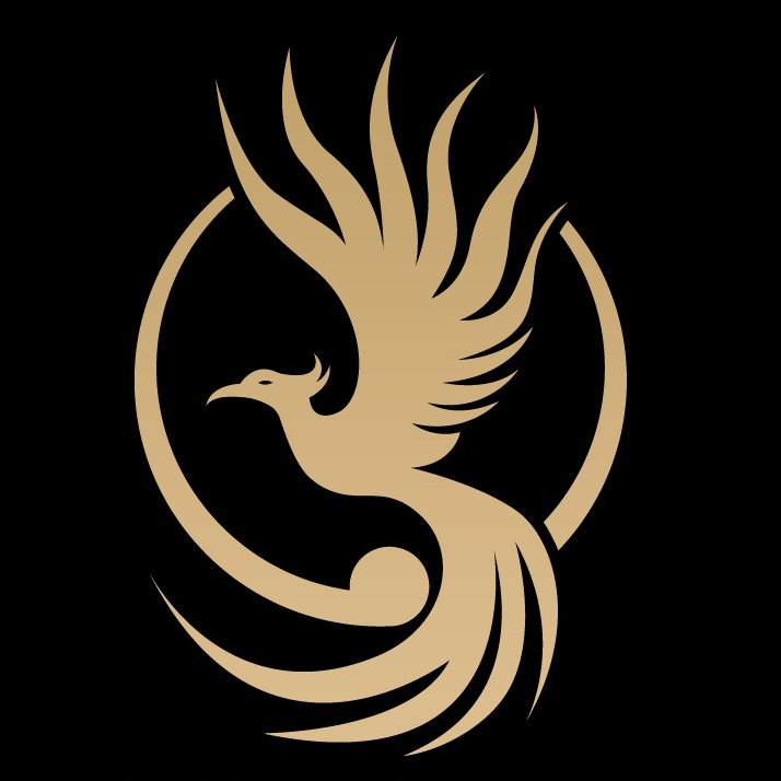 TransformityChg's profile picture. 