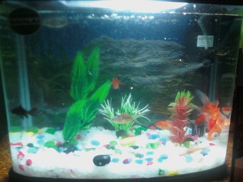 ritesv's profile picture. 