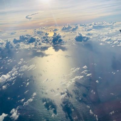 toto_ron02's profile picture. 最近の趣味
料理（めしまず）＼(^o^)／

好きなゲーム
ウマ娘(*´∀｀*)