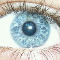 Adri 🐻 (@adricamu8) 's Twitter Profile