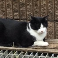 もんたな 14 (@montana2341) Twitter profile photo