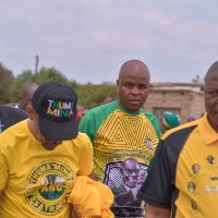 MandlaNdlovu (@mandlandlovuanc) 's Twitter Profile