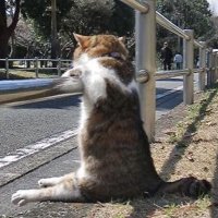 ねるねる 相互フォロー99.9%! (@ngktsqocplkqwy0) 's Twitter Profile Photo ねるねる 相互フォロー99.9%! (@ngktsqocplkqwy0) 's Twitter Profile Photo