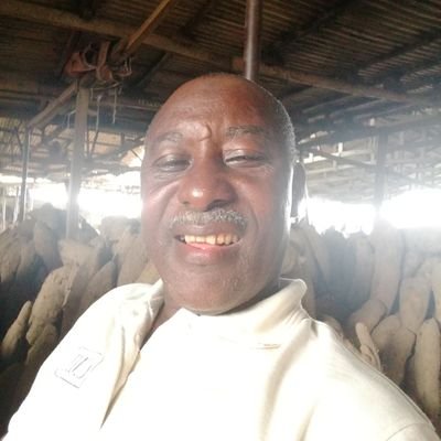 alhaji2ic's profile picture. 