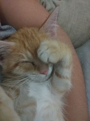 AmorVazquez2's profile picture. solo yo