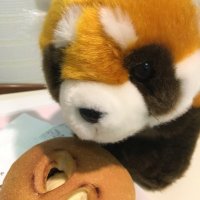 Tanuki@Tama (@_takeman) 's Twitter Profile