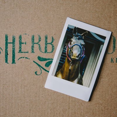.....Pizza Kitchen & Restaurant..... #theherbgardenuk / 0191 222 0491