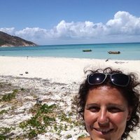 Daniela Pica (@stylasterids) 's Twitter Profile